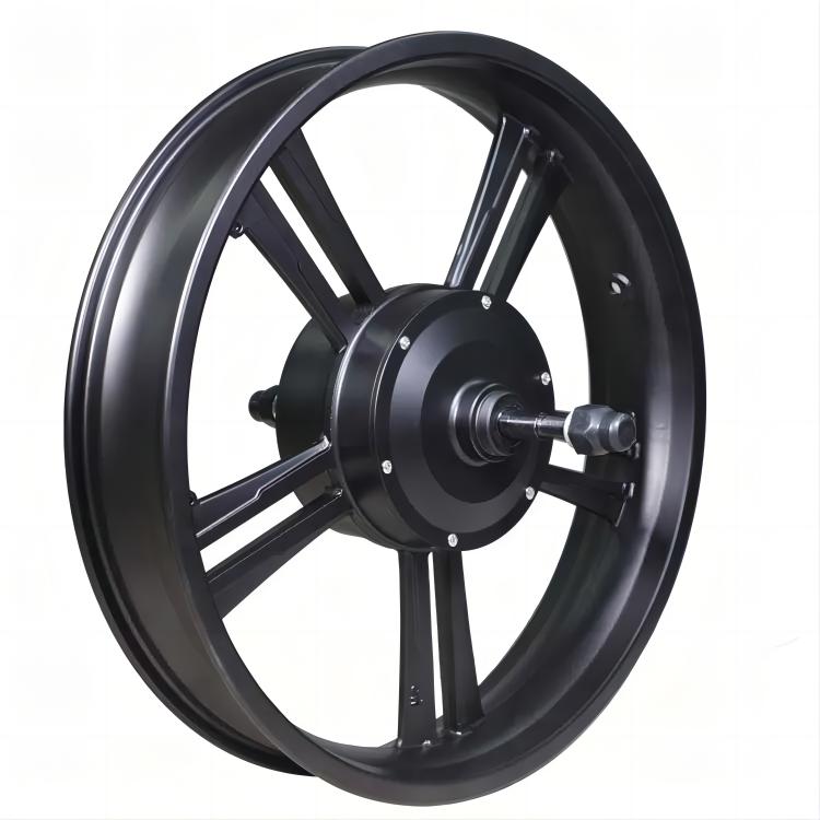 M4/M6 750W 1000W Motor - Polarna Ebikes Polarna Ebikes M6 1000W POLANRA M4/M6 750W 1000W Motor