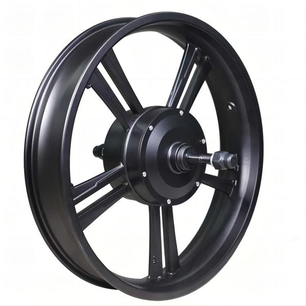 M4/M6 750W 1000W Motor - Polarna Ebikes Polarna Ebikes M6 1000W POLANRA M4/M6 750W 1000W Motor