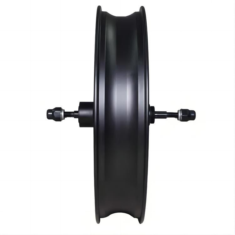 M4/M6 750W 1000W Motor - Polarna Ebikes Polarna Ebikes M6 1000W POLANRA M4/M6 750W 1000W Motor