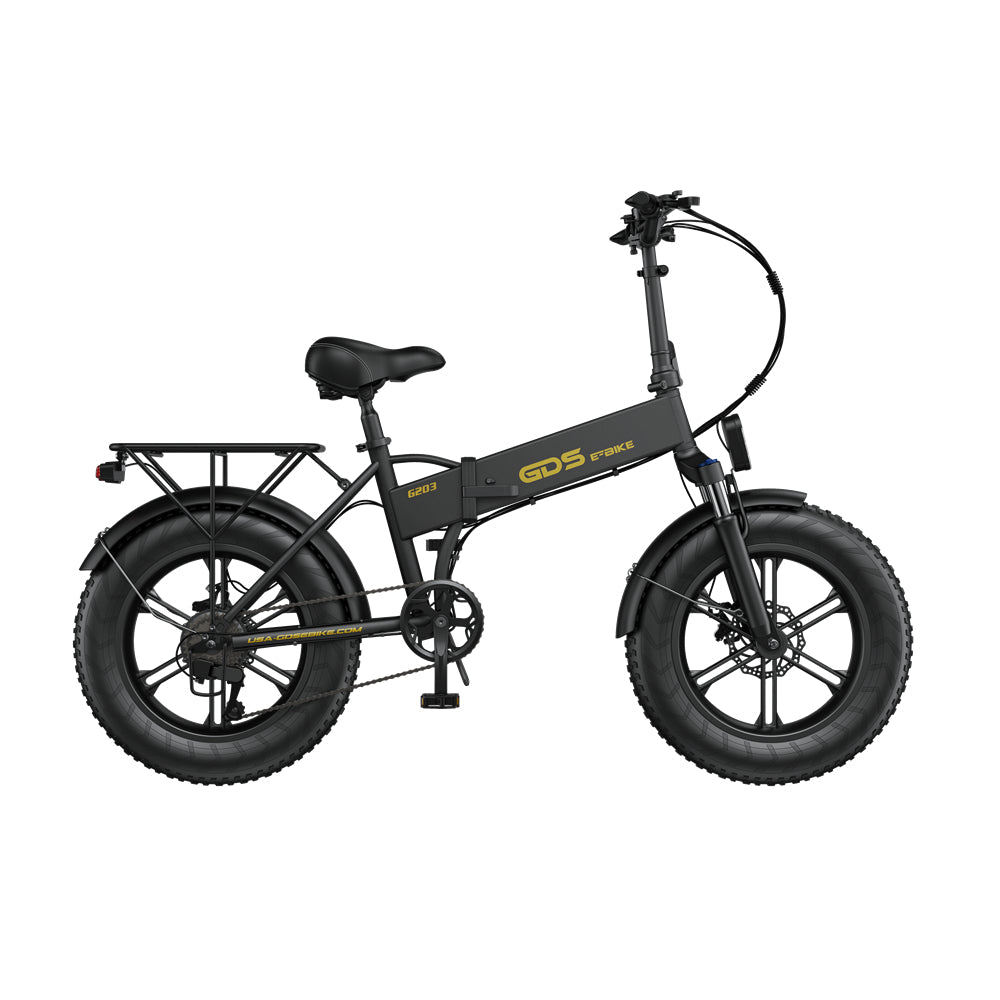 POLARNA M3 20“ Fat Tire Foldable Electric Bike With 750W Motor 48V 13Ah Battery for Snow Sand Outdoor(USA) - Polarna Ebikes Polarna Ebikes Black POLANRA POLARNA M3 20“ Fat Tire Foldable Electric Bike With 750W Motor 48V 13Ah Battery for Snow Sand Outdoor(USA)