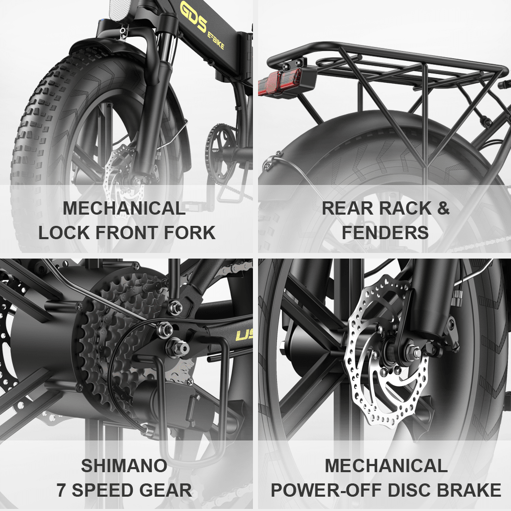 POLARNA M3 20“ Fat Tire Foldable Electric Bike With 750W Motor 48V 13Ah Battery for Snow Sand Outdoor(USA) - Polarna Ebikes Polarna Ebikes Black POLANRA POLARNA M3 20“ Fat Tire Foldable Electric Bike With 750W Motor 48V 13Ah Battery for Snow Sand Outdoor(USA)
