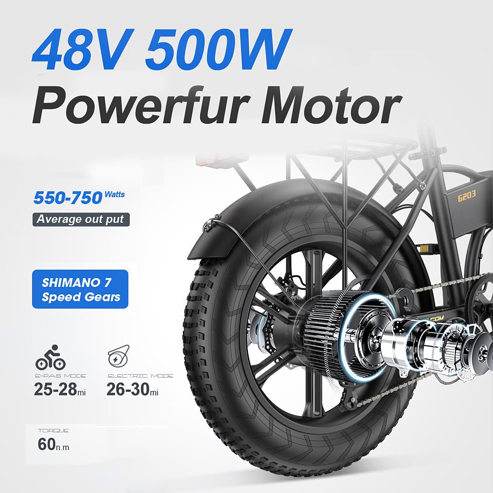 POLARNA M3 20“ Fat Tire Foldable Electric Bike With 750W Motor 48V 13Ah Battery for Snow Sand Outdoor(USA) - Polarna Ebikes Polarna Ebikes Black POLANRA POLARNA M3 20“ Fat Tire Foldable Electric Bike With 750W Motor 48V 13Ah Battery for Snow Sand Outdoor(USA)