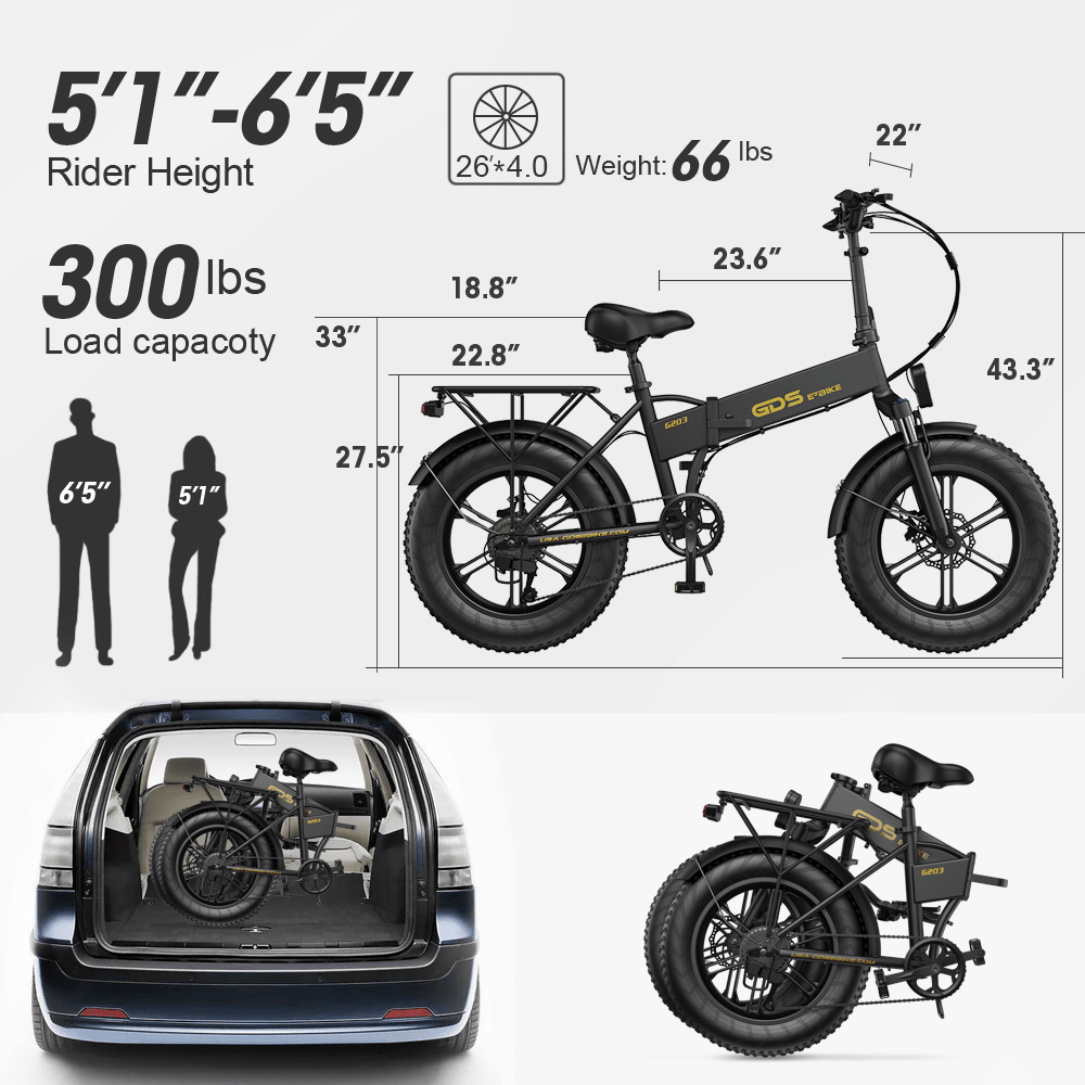 POLARNA M3 20“ Fat Tire Foldable Electric Bike With 750W Motor 48V 13Ah Battery for Snow Sand Outdoor(USA) - Polarna Ebikes Polarna Ebikes Black POLANRA POLARNA M3 20“ Fat Tire Foldable Electric Bike With 750W Motor 48V 13Ah Battery for Snow Sand Outdoor(USA)