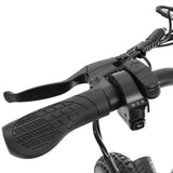 POLARNA M3 20“ Fat Tire Foldable Electric Bike With 750W Motor 48V 13Ah Battery for Snow Sand Outdoor(USA) - Polarna Ebikes Polarna Ebikes Black POLANRA POLARNA M3 20“ Fat Tire Foldable Electric Bike With 750W Motor 48V 13Ah Battery for Snow Sand Outdoor(USA)