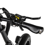 Polarna M5 20“ Fat Tire Foldable Electric Bike With 750W Motor 48V 15Ah Battery Pneumatic Fork(USA) - Polarna Ebikes Polarna Ebikes Black POLANRA Polarna M5 20“ Fat Tire Foldable Electric Bike With 750W Motor 48V 15Ah Battery Pneumatic Fork(USA)