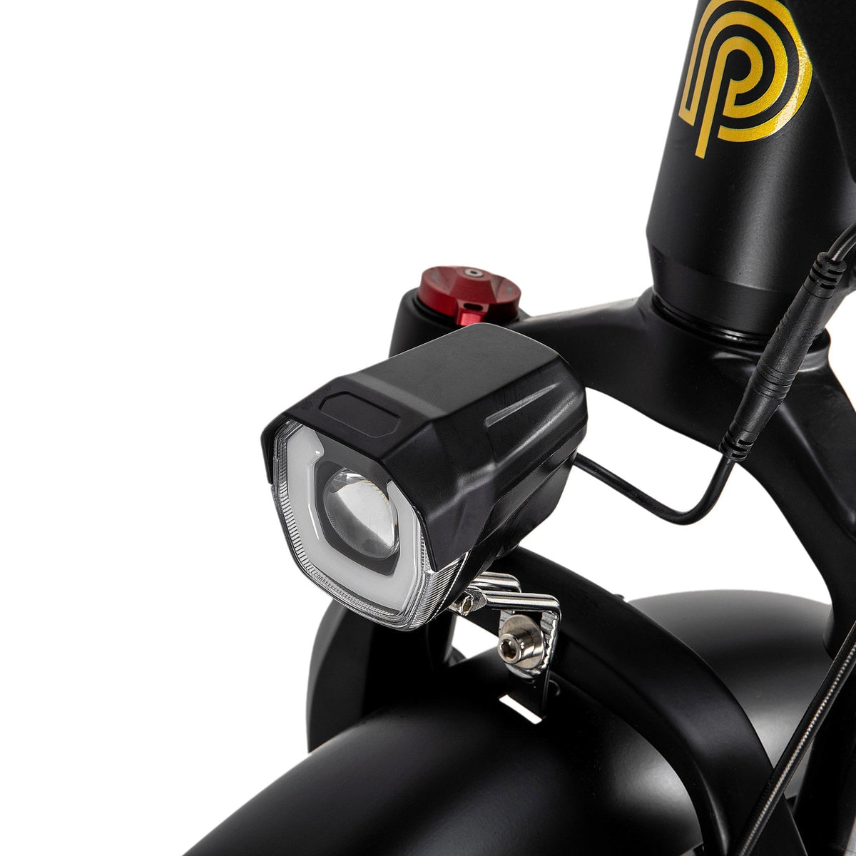 Polarna M5 20“ Fat Tire Foldable Electric Bike With 750W Motor 48V 15Ah Battery Pneumatic Fork(USA) - Polarna Ebikes Polarna Ebikes Black POLANRA Polarna M5 20“ Fat Tire Foldable Electric Bike With 750W Motor 48V 15Ah Battery Pneumatic Fork(USA)
