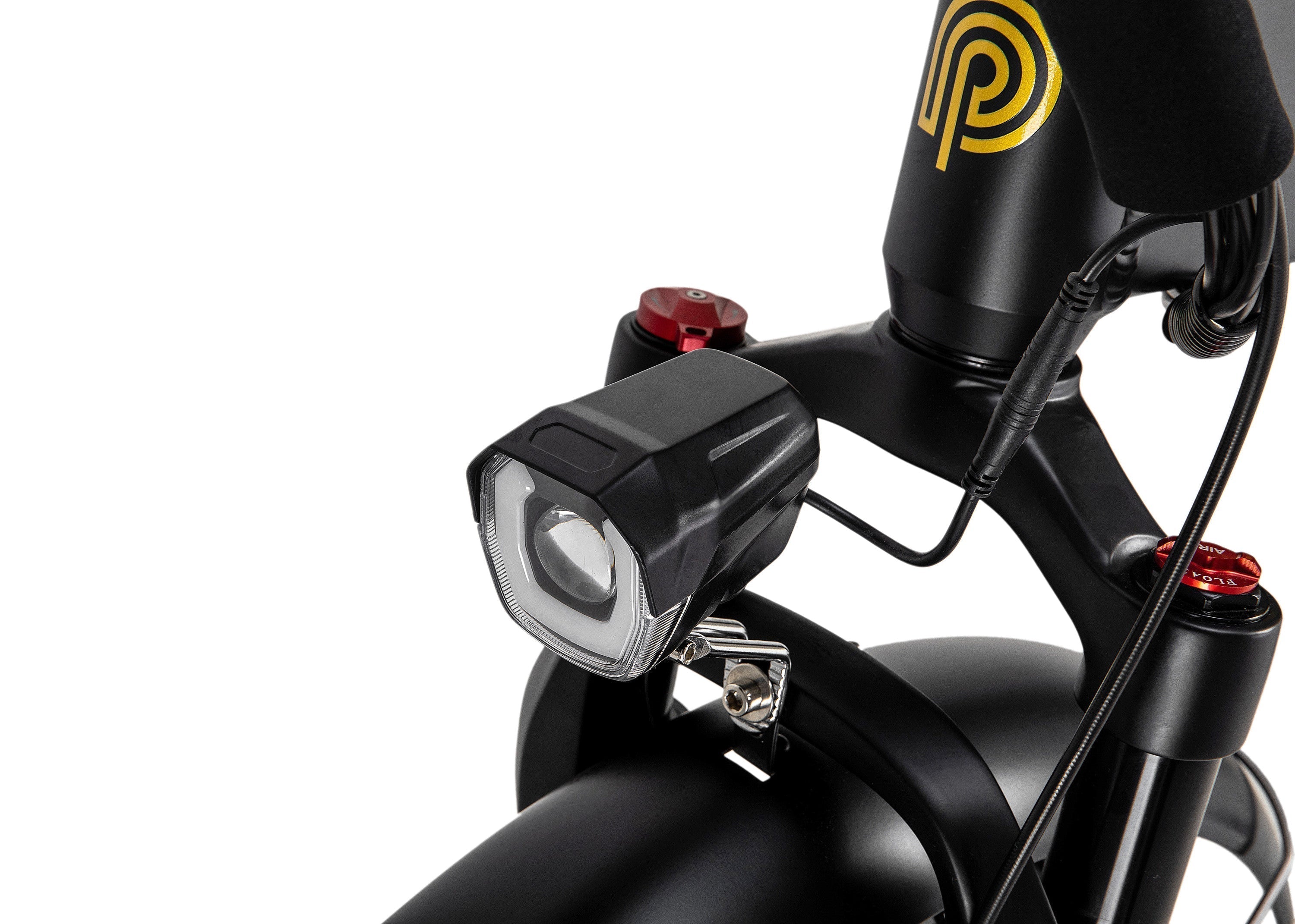 Polarna M5 20“ Fat Tire Foldable Electric Bike With 750W Motor 48V 15Ah Battery Pneumatic Fork(USA) - Polarna Ebikes Polarna Ebikes Black POLANRA Polarna M5 20“ Fat Tire Foldable Electric Bike With 750W Motor 48V 15Ah Battery Pneumatic Fork(USA)