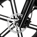Polarna M5 20“ Fat Tire Foldable Electric Bike With 750W Motor 48V 15Ah Battery Pneumatic Fork(USA) - Polarna Ebikes Polarna Ebikes Black POLANRA Polarna M5 20“ Fat Tire Foldable Electric Bike With 750W Motor 48V 15Ah Battery Pneumatic Fork(USA)