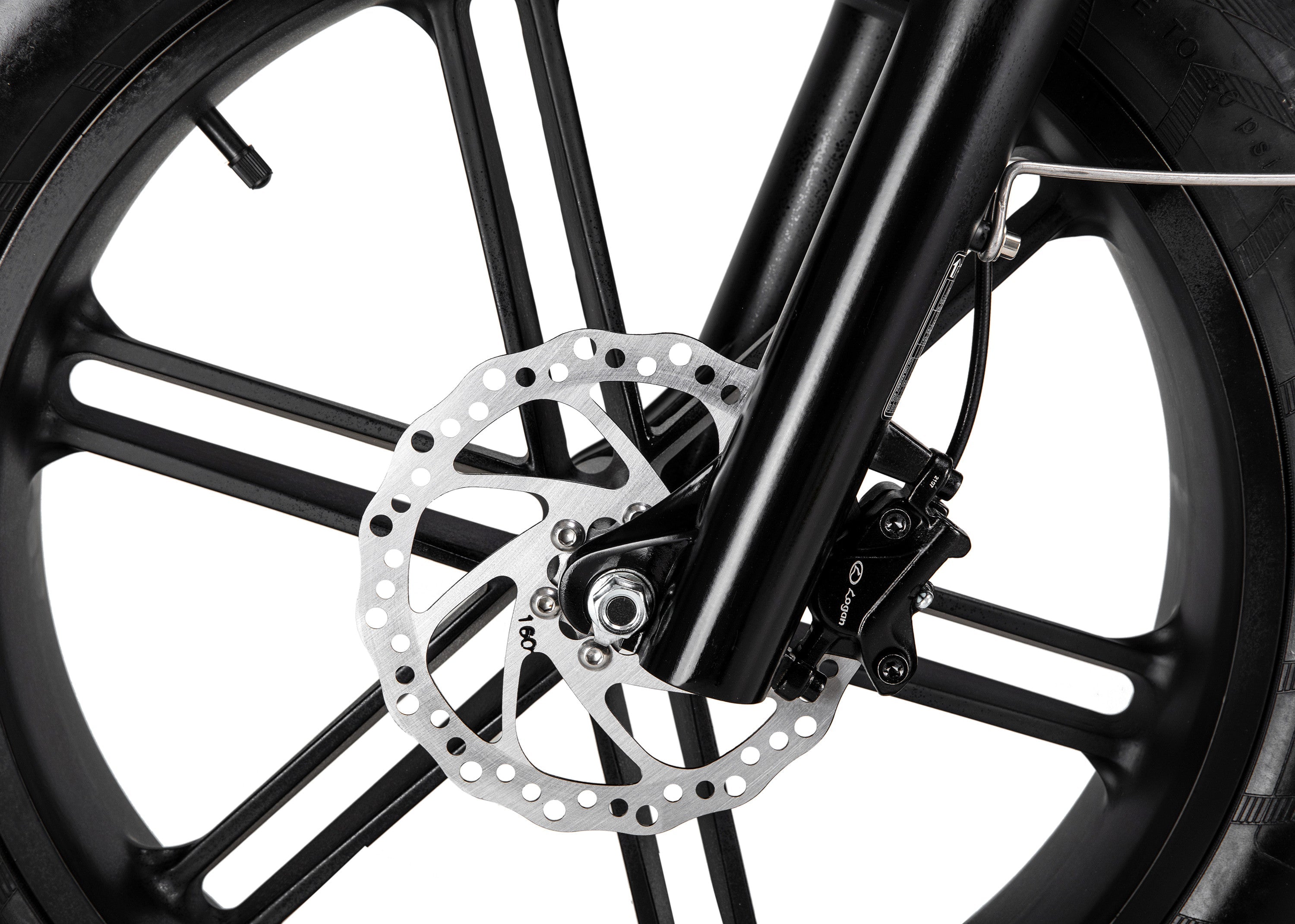 Polarna M5 20“ Fat Tire Foldable Electric Bike With 750W Motor 48V 15Ah Battery Pneumatic Fork(USA) - Polarna Ebikes Polarna Ebikes Black POLANRA Polarna M5 20“ Fat Tire Foldable Electric Bike With 750W Motor 48V 15Ah Battery Pneumatic Fork(USA)