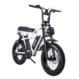 Polarna X-01 20“ 4.0 Fat Tire Electric Motorbike With 1000W Motor 48V 22.5Ah SamSung Battery Pneumatic Fork(USA) - Polarna Ebikes Polarna Ebikes Black POLANRA Polarna X-01 20“ 4.0 Fat Tire Electric Motorbike With 1000W Motor 48V 22.5Ah SamSung Battery Pneumatic Fork(USA)