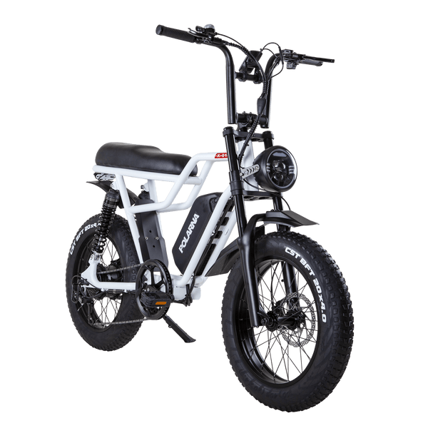 Polarna X-01 20“ 4.0 Fat Tire Electric Motorbike With 1000W Motor 48V 22.5Ah SamSung Battery Pneumatic Fork(USA) - Polarna Ebikes Polarna Ebikes Black POLANRA Polarna X-01 20“ 4.0 Fat Tire Electric Motorbike With 1000W Motor 48V 22.5Ah SamSung Battery Pneumatic Fork(USA)