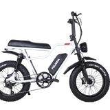 Polarna X-01 20“ 4.0 Fat Tire Electric Motorbike With 1000W Motor 48V 22.5Ah SamSung Battery Pneumatic Fork(USA) - Polarna Ebikes Polarna Ebikes White POLANRA Polarna X-01 20“ 4.0 Fat Tire Electric Motorbike With 1000W Motor 48V 22.5Ah SamSung Battery Pneumatic Fork(USA)